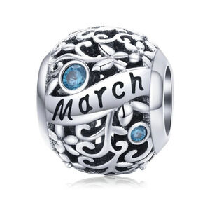 Host Pick 🎉925 Silver March Birthstone Charm